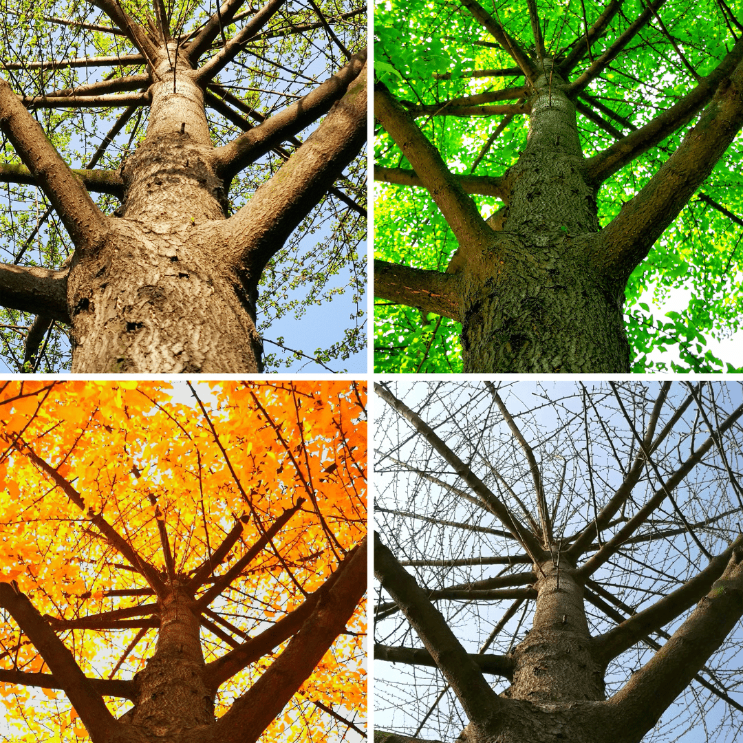 What's Your Favourite Season and Why? - Jaime Wiles