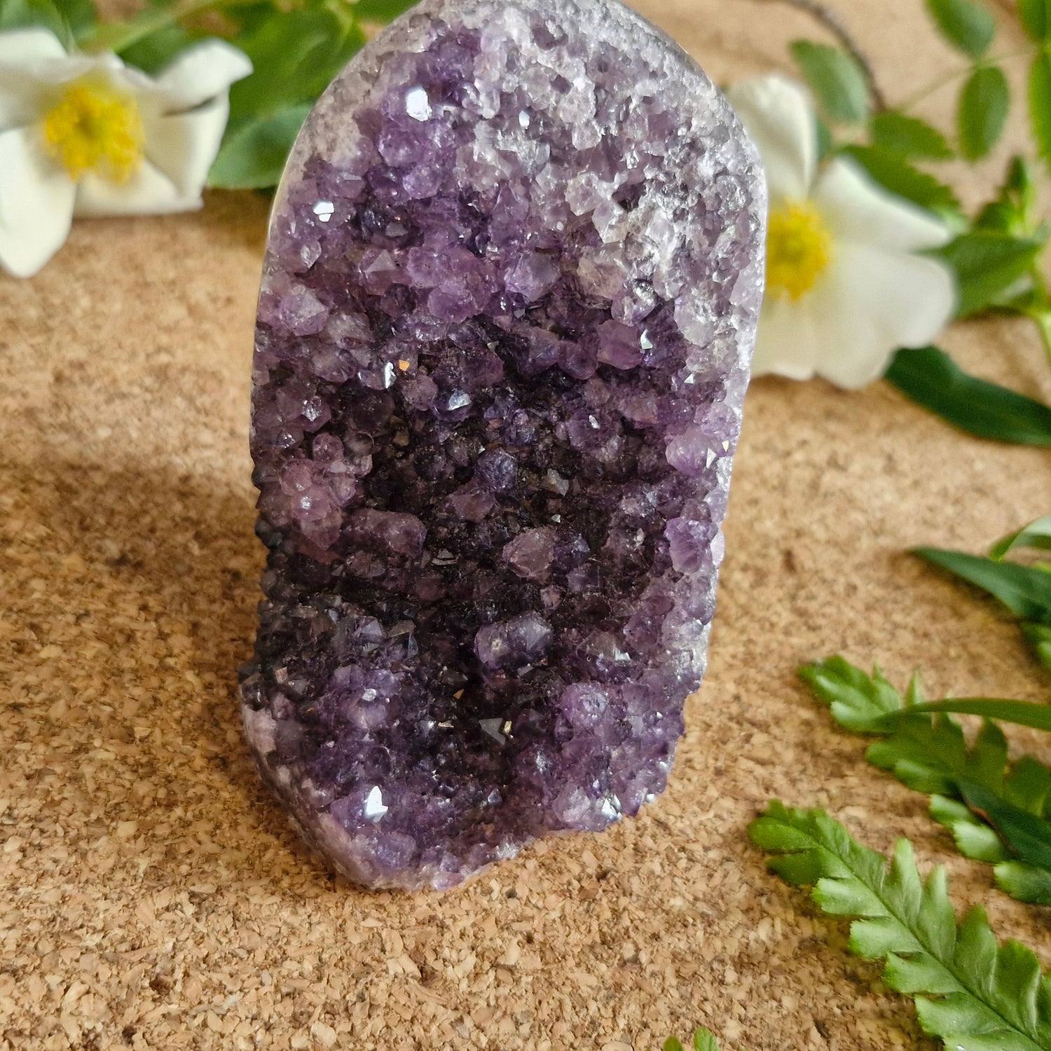 Amethyst Cluster - Jaime Wiles