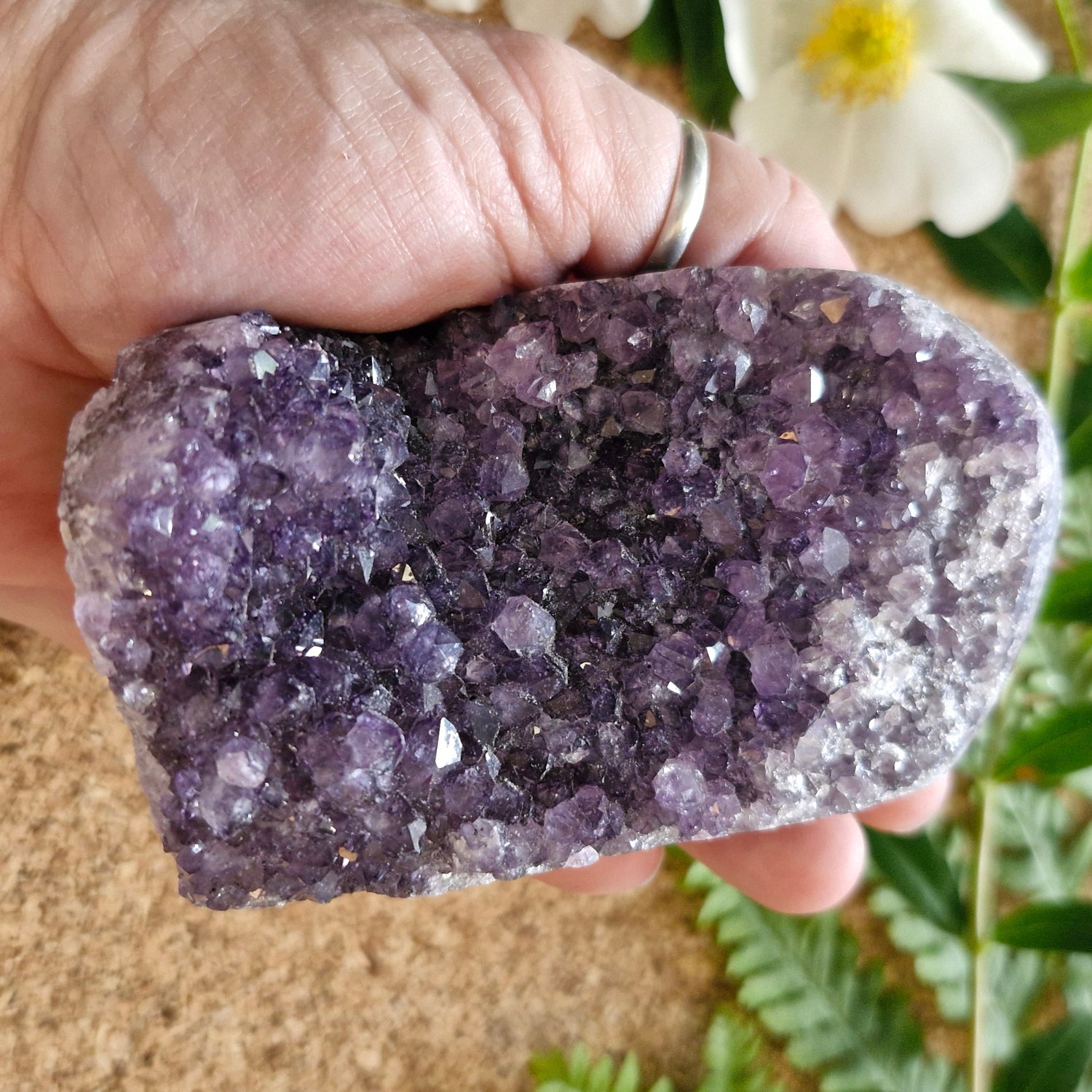 Amethyst Cluster - Jaime Wiles
