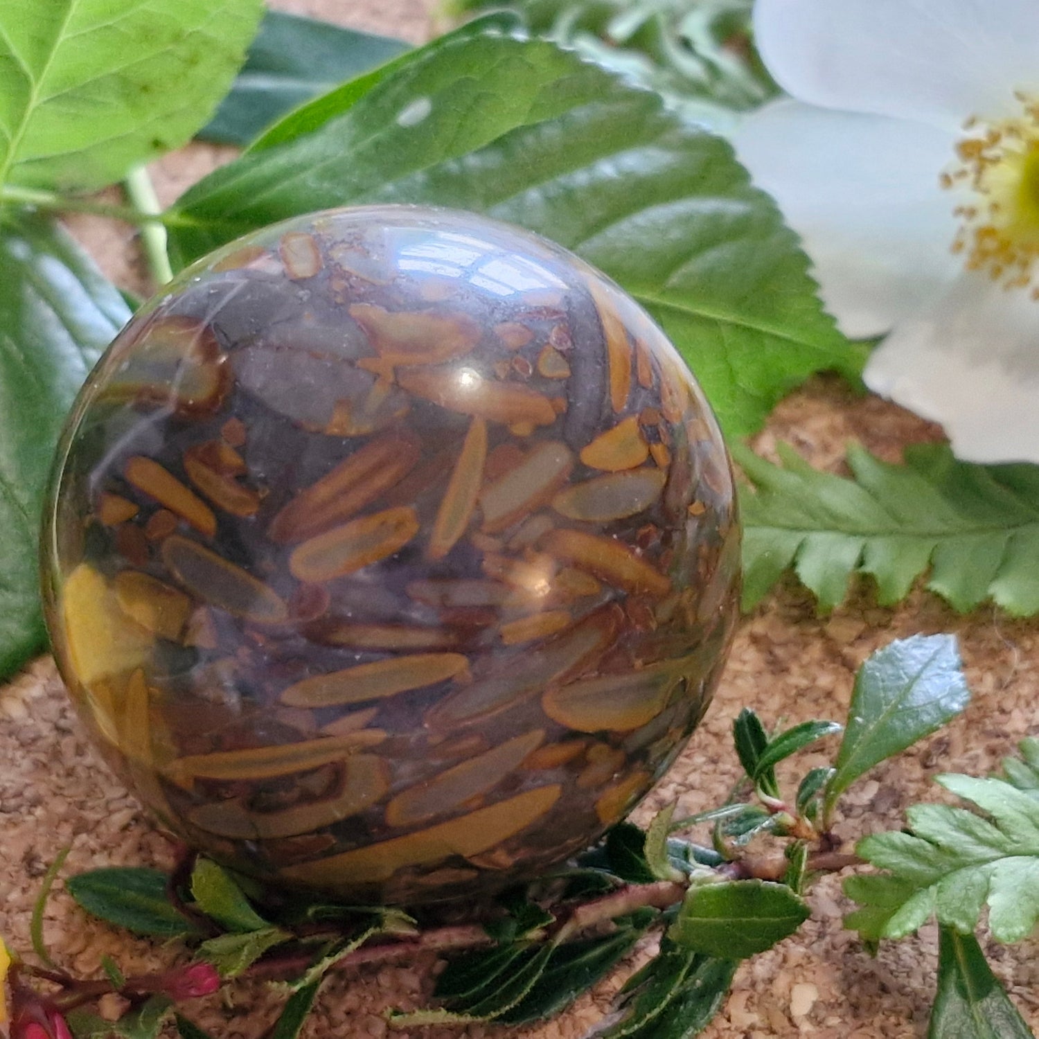 Bamboo Leaf Jasper Sphere - Jaime Wiles