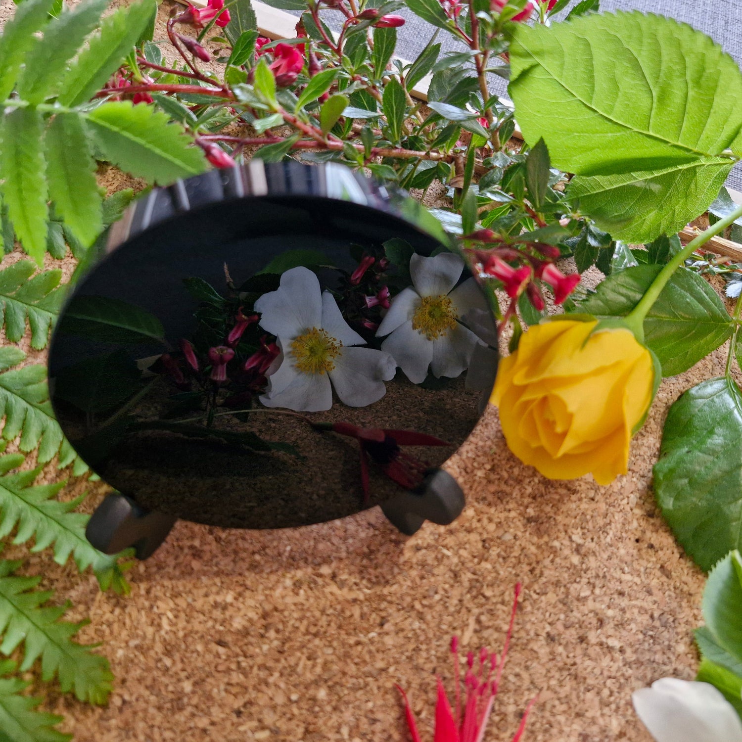 Black Obsidian Scrying Mirror (8cm) with Stand - Jaime Wiles