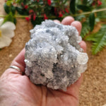 Celestite Crystal - Jaime Wiles