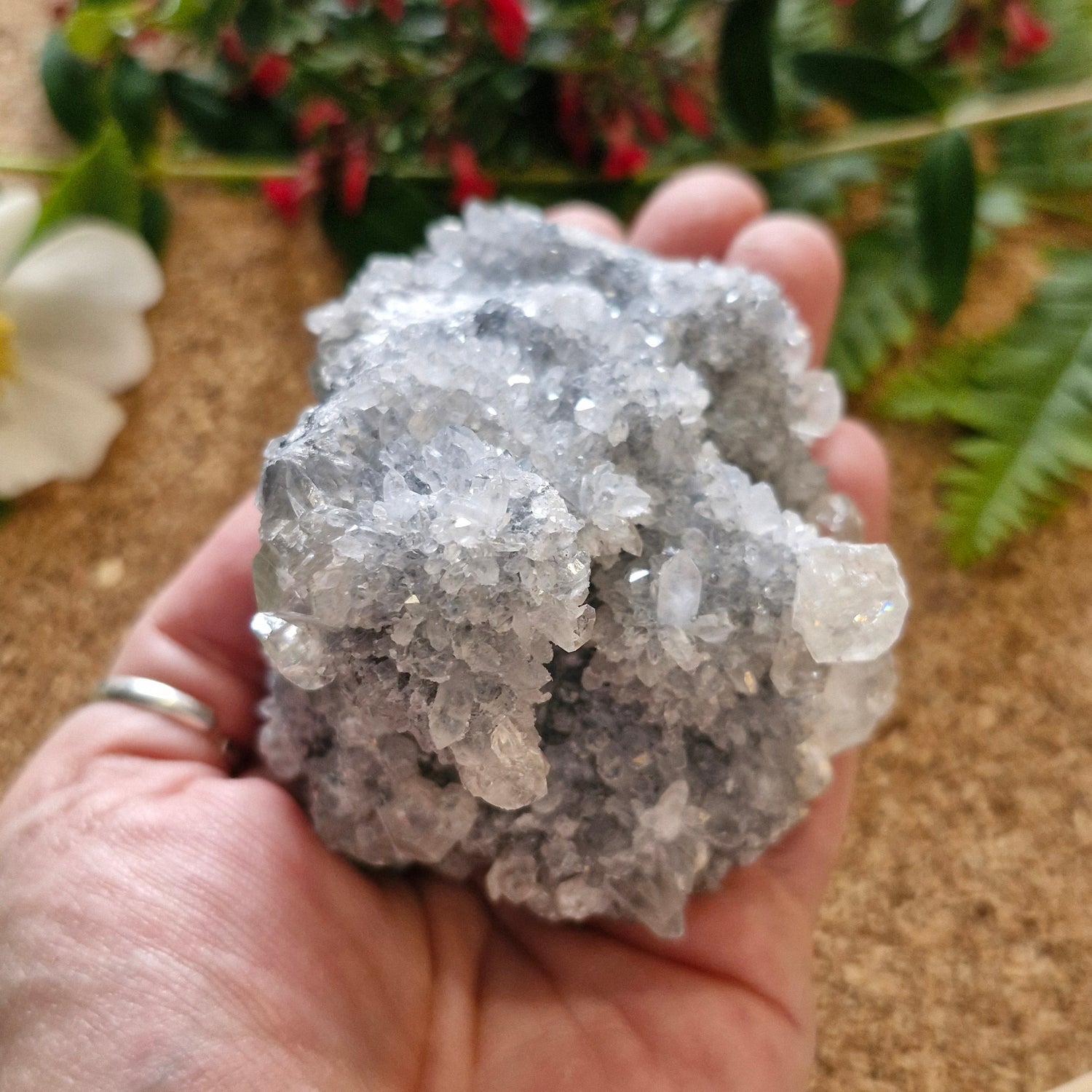 Celestite Crystal - Jaime Wiles