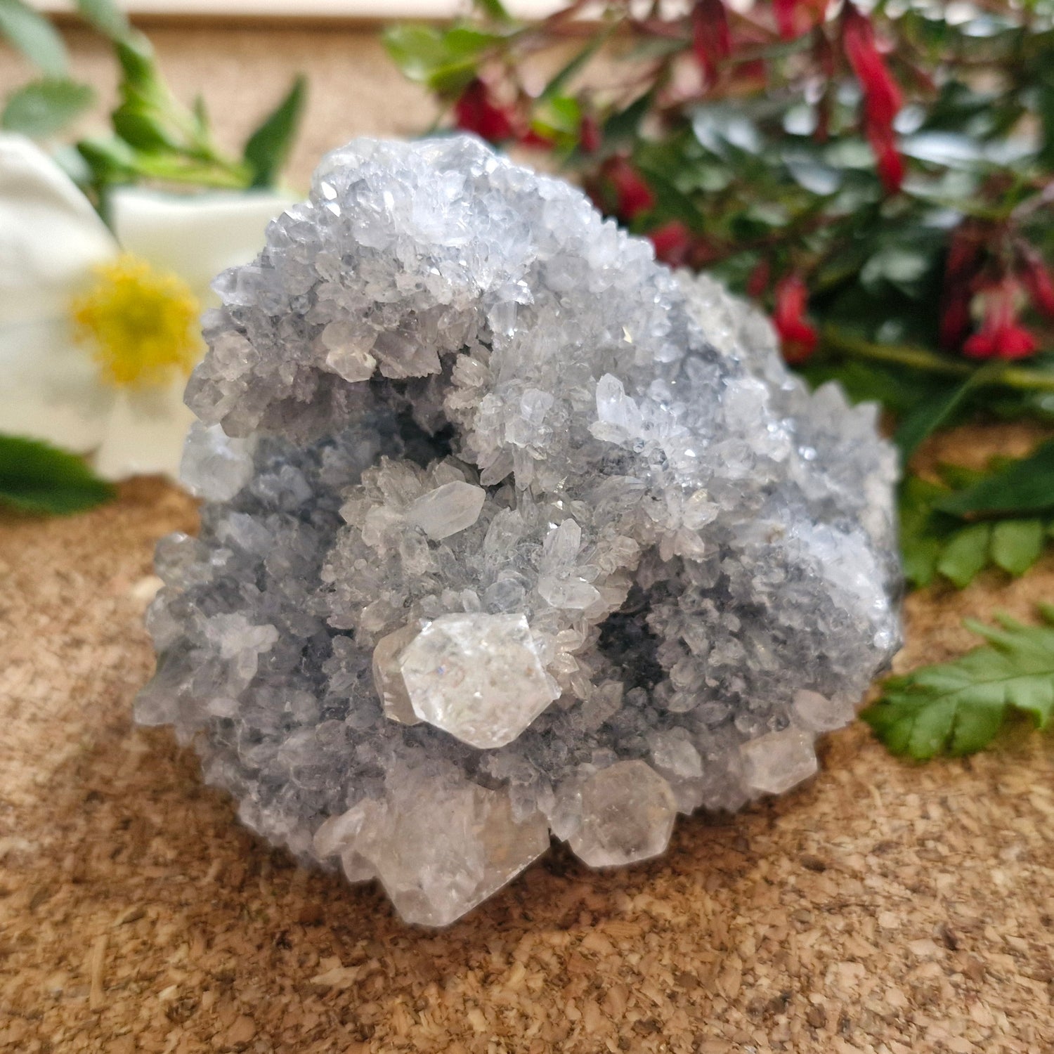 Celestite Crystal - Jaime Wiles