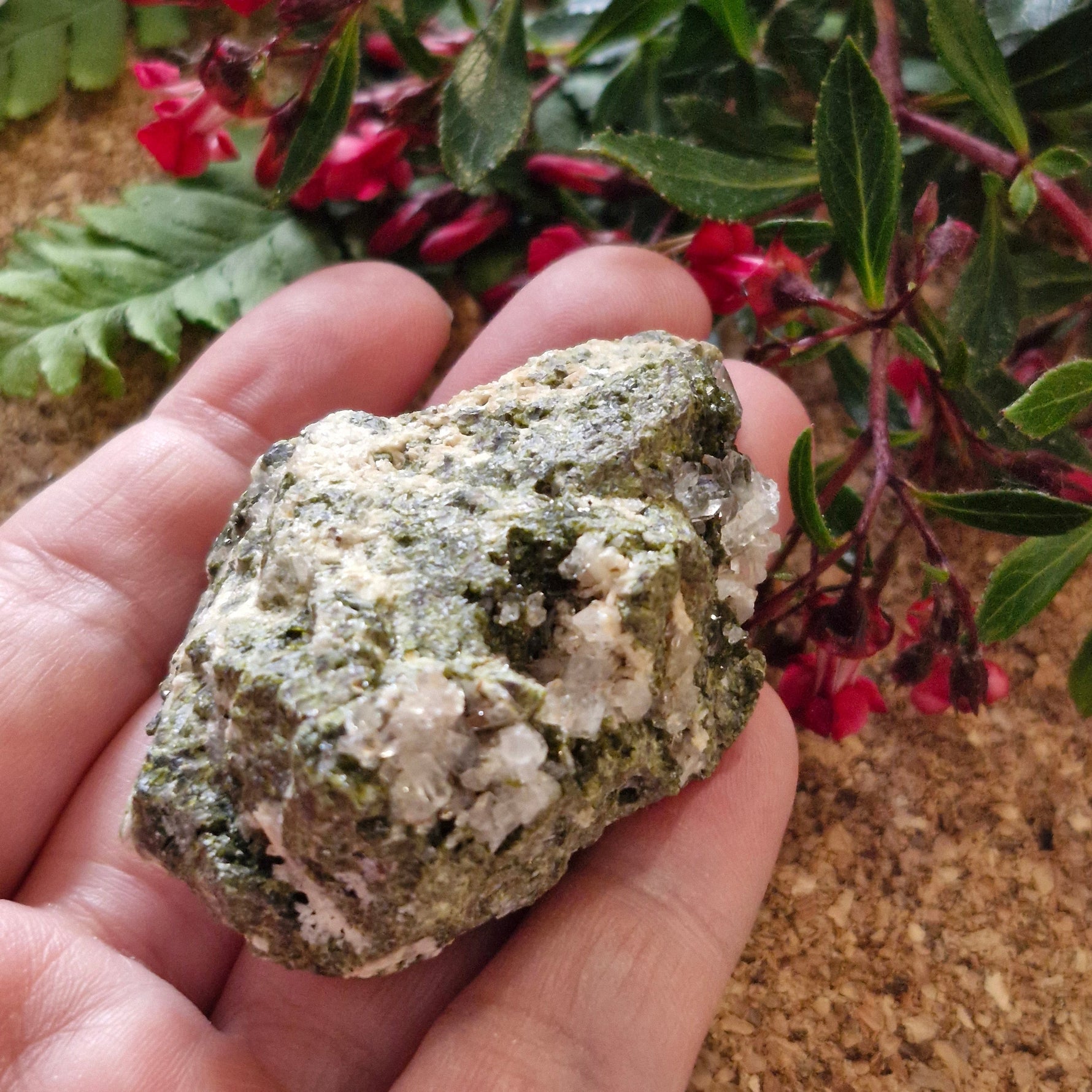 Epidote with Clear Quartz - Jaime Wiles