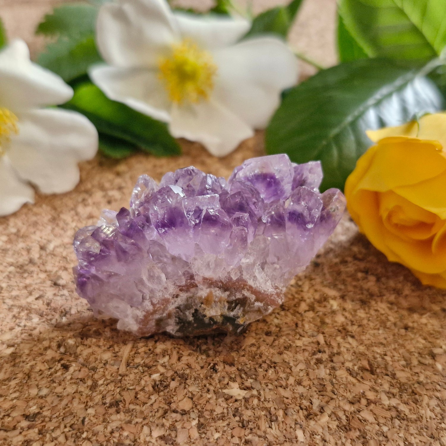 Mini Amethyst Cluster - Jaime Wiles