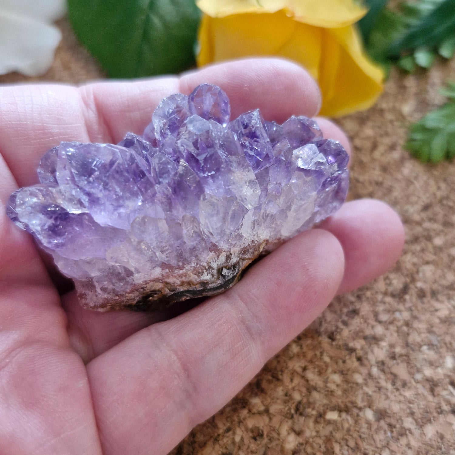 Mini Amethyst Cluster - Jaime Wiles