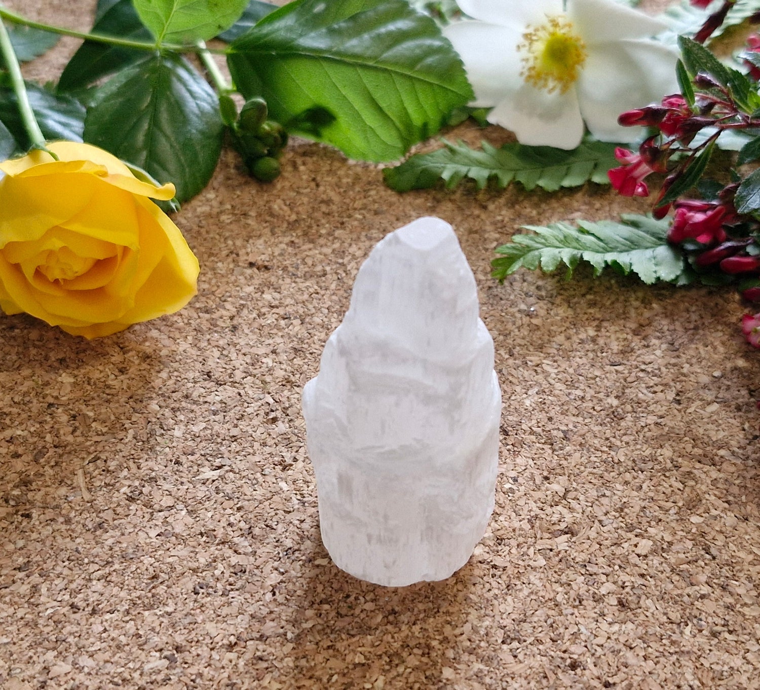 Selenite Towers - Jaime Wiles