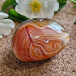 Top view of a polished banded agate showcasing swirling red, orange, and gold tones surrounded by delicate flowers and greenery.