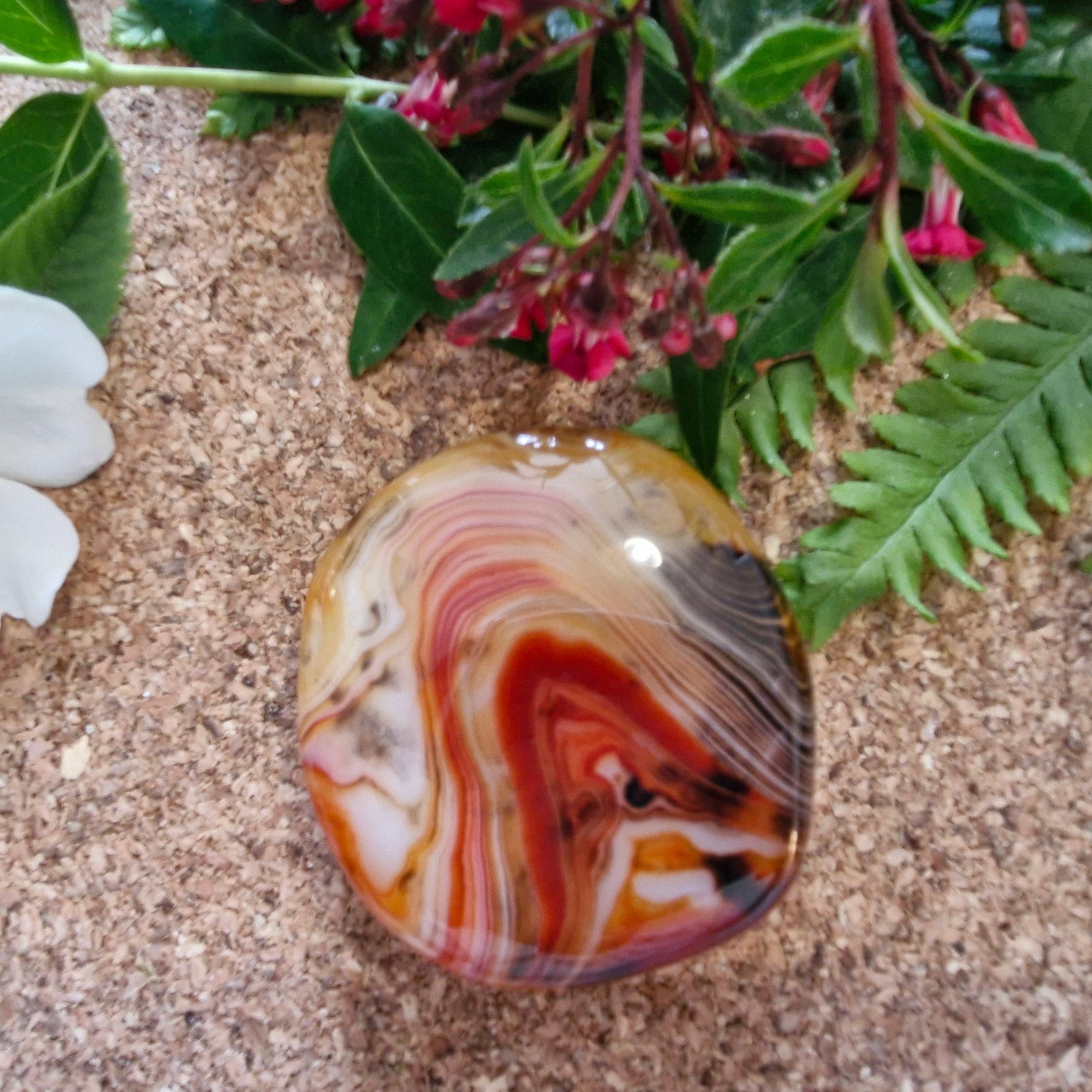 Polished banded agate with bold orange, red, and white layers, resting on a cork surface with white flowers in the background.