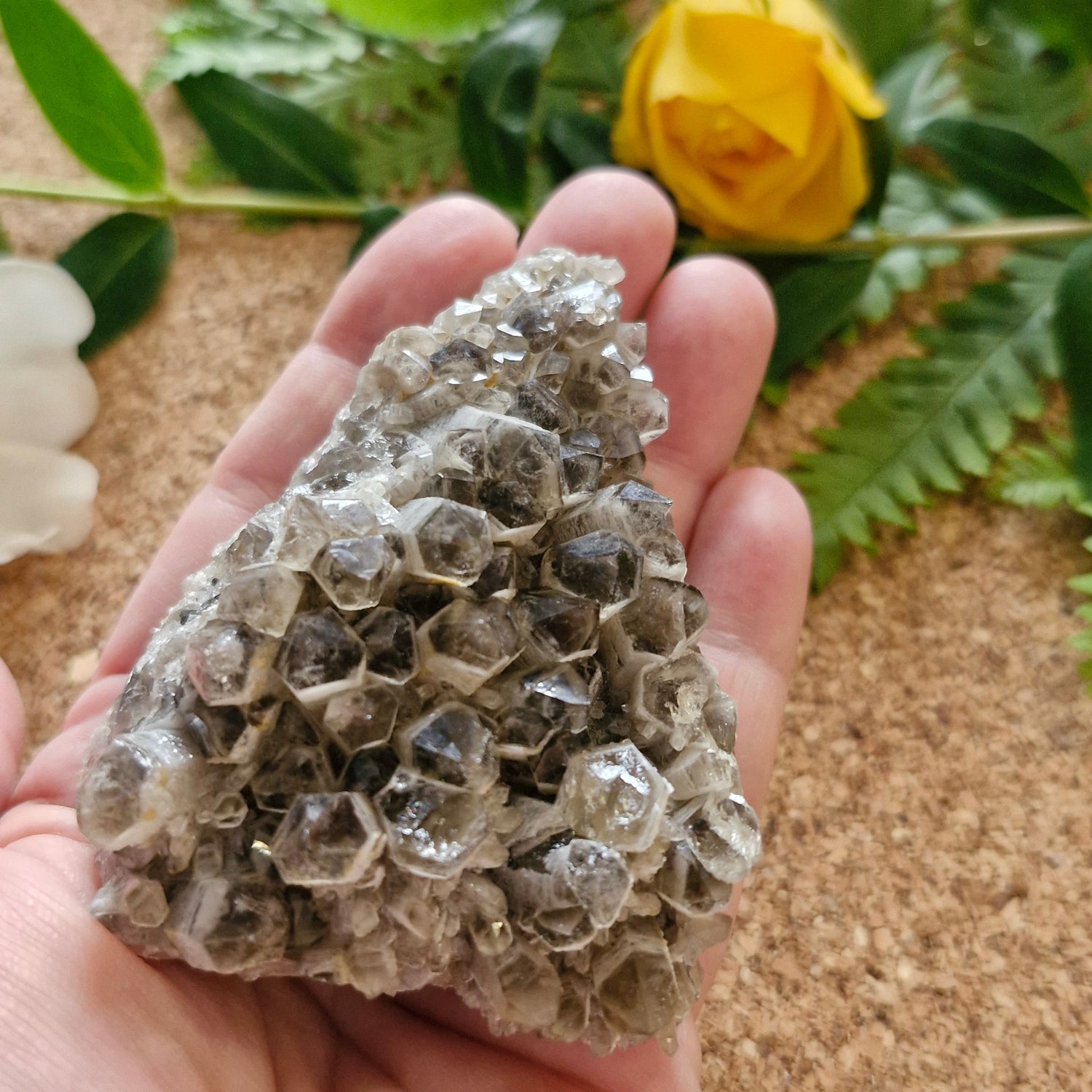 Smoky Quartz Cluster - Jaime Wiles
