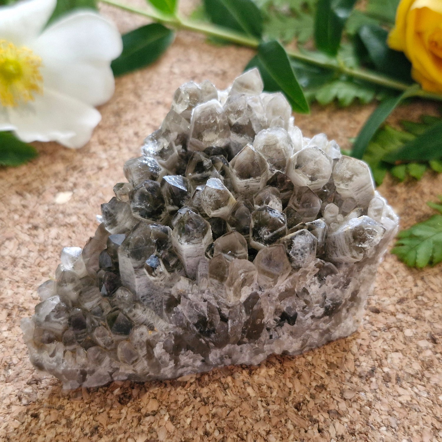 Smoky Quartz Cluster - Jaime Wiles